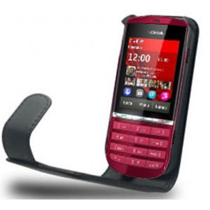 Etui pour Nokia Asha 300