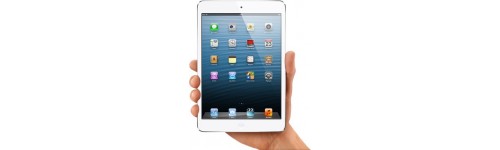 iPad Mini